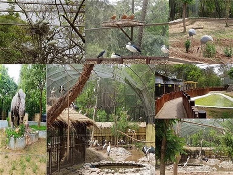 80,508 Visitors in 2 Months as Mann Govt’s Wildlife Conservation Drive Gains Momentum: Kataruchak