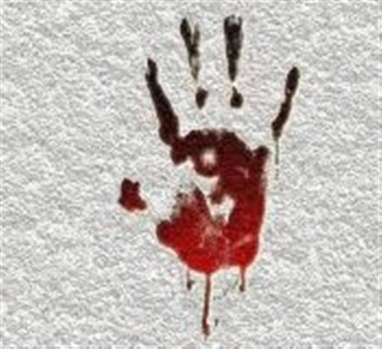 Shimla : Younger Brother Allegedly Kills Elder After Drinking 