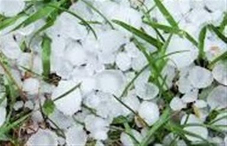  Western Disturbance to Hit Punjab from Tuesday, Rain and Hailstorm Expected