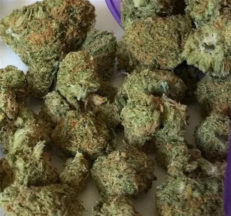 Amritsar Police major crackdown : Drugs Hidden in Sweet Boxes; Bangkok Passenger Nabbed at Amritsar Airport with 964g Cannabis