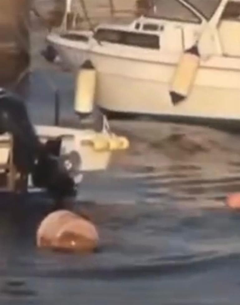 Powerful 7.5 Magnitude Earthquake Strikes Japan; Tsunami Warning Issued