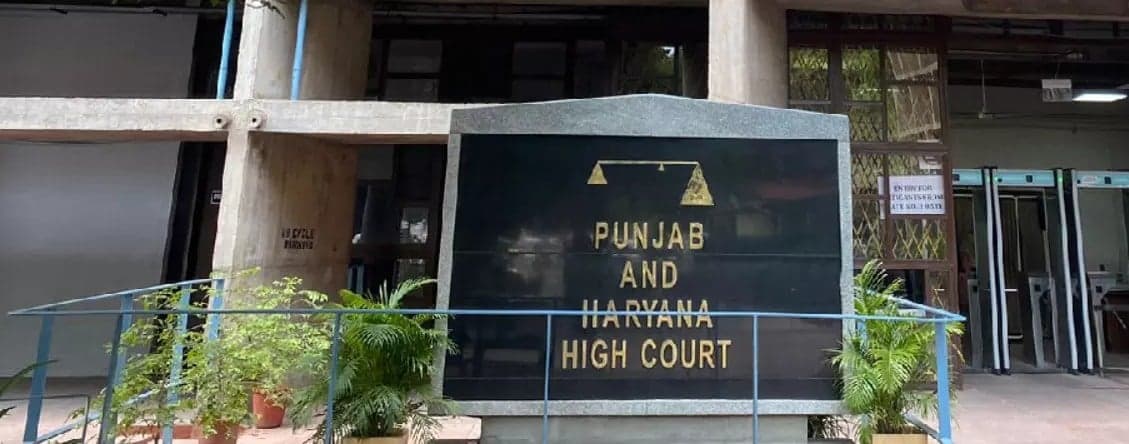Lawrence Bishnoi & Goldy Brar's Ex-Associate Amandeep Multani Moves High Court, Seeks Protection Amid Punjab Gang Wars