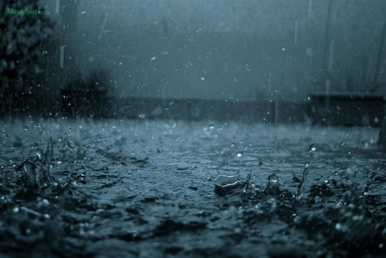 Haryana Weather Alert: Rain, Thunderstorms & Strong Winds Expected Till March 29