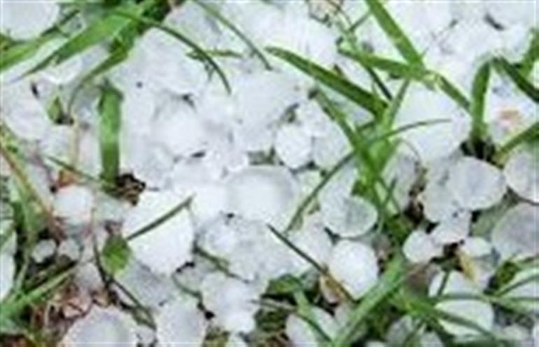 Punjab Weather : Western Disturbance to Hit State from Tuesday, Rain and Hailstorm Expected