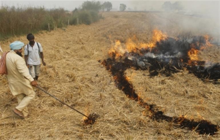 Punjab Haryana Farmers Sensitised On Stubble Management