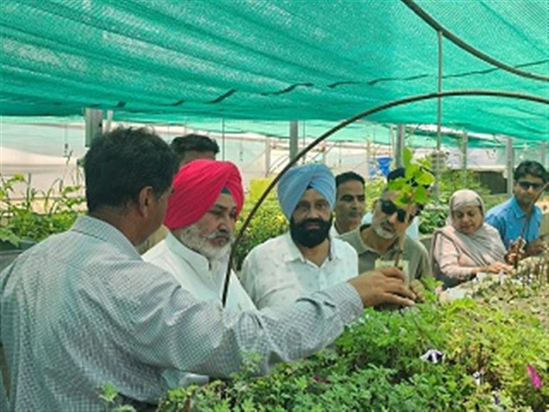 Leap to move out farmers from triditional crop cycle : Jouramajra