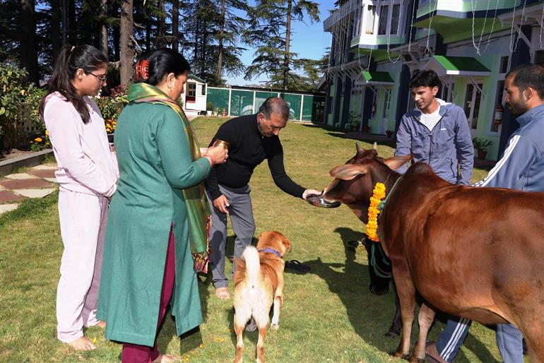 CM Sukhu performed Goverdhan Puja at Oak Over