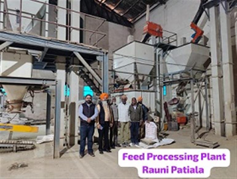  Soon, Punjab to start uromin lick blocks plant in Patiala