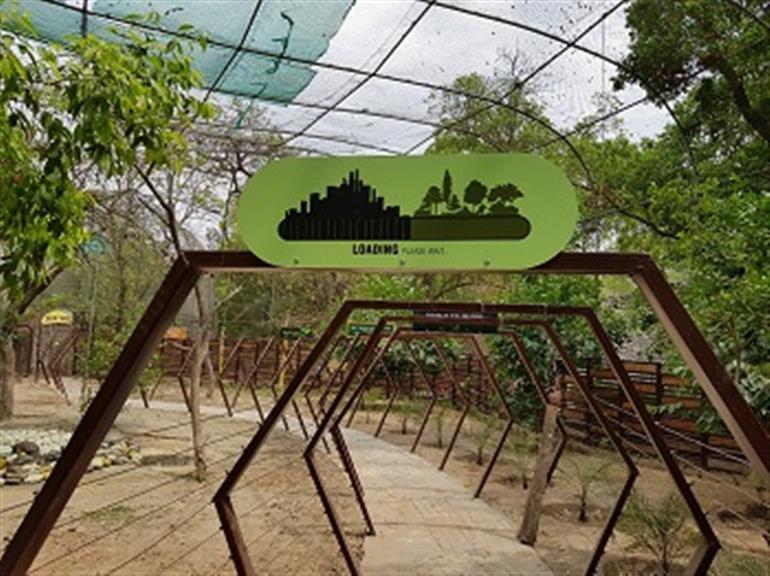 Country biggest & longest walk in aviary centre of attraction at Chhatbir Zoo