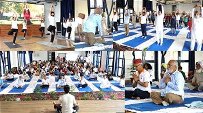 CU Punjab Organizes Grand Celebration to Commemorate 11th International Yoga Day