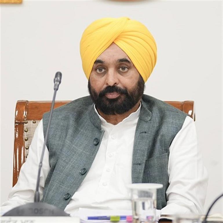 CM Announces to form Monitoring Committees to Supervise Village Development Works