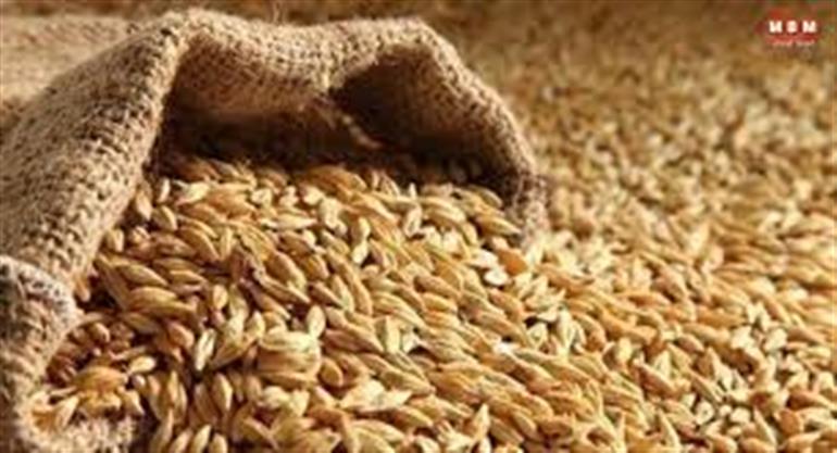Himachal Govt procures 140 quintals of Barley from Pangi