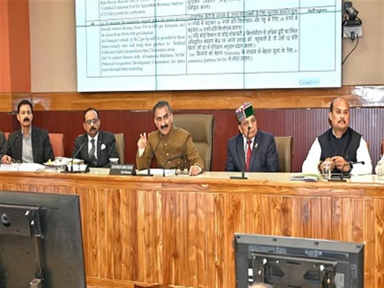 CM directs officials to implement budget announcements expeditiously on ground