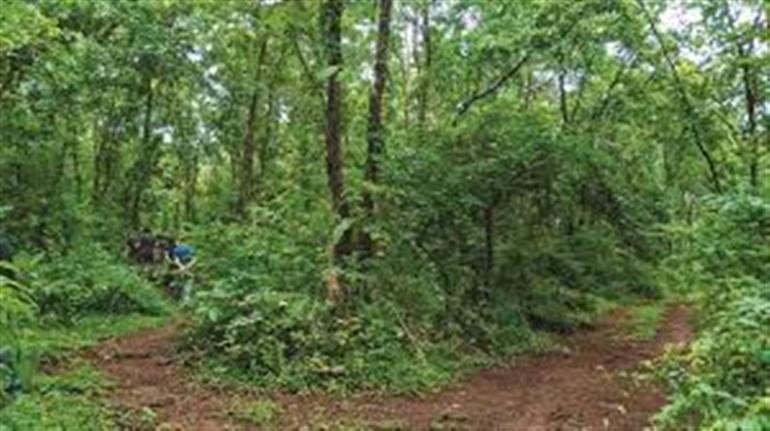 Forest & Nature Awareness Parks being developed to increase green cover & preserve ecology