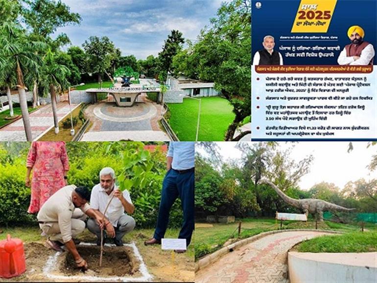 The Punjab protection of trees act 2025 accorded nod aiming to maintain green cover & ensiromg ecological balance