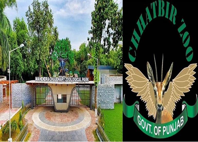 FWPD paying Special attention to dietary needs of animals in Chhatbir Zoo during winters