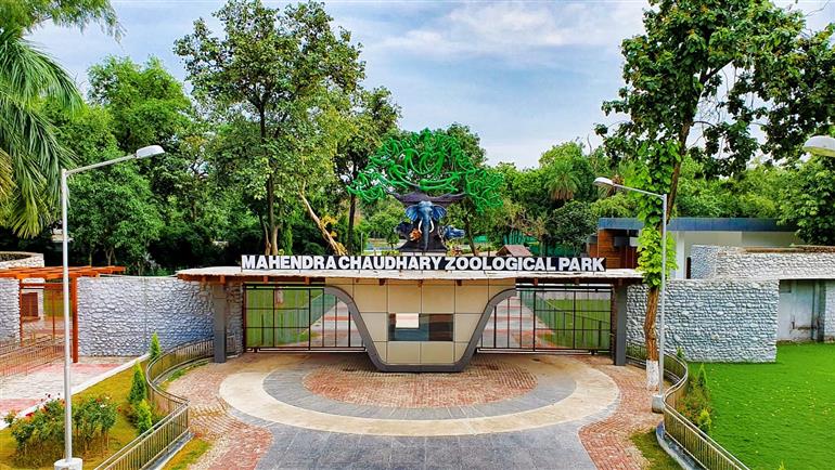 Punjab Government’s Efforts Bear Fruit as Chhatbir Zoo Sees Surge in Visitors 