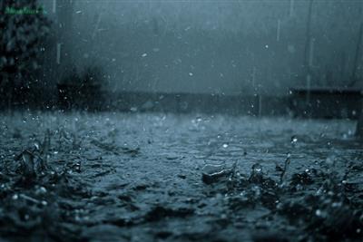 Haryana Weather Alert: Rain, Thunderstorms & Strong Winds Expected Till March 29