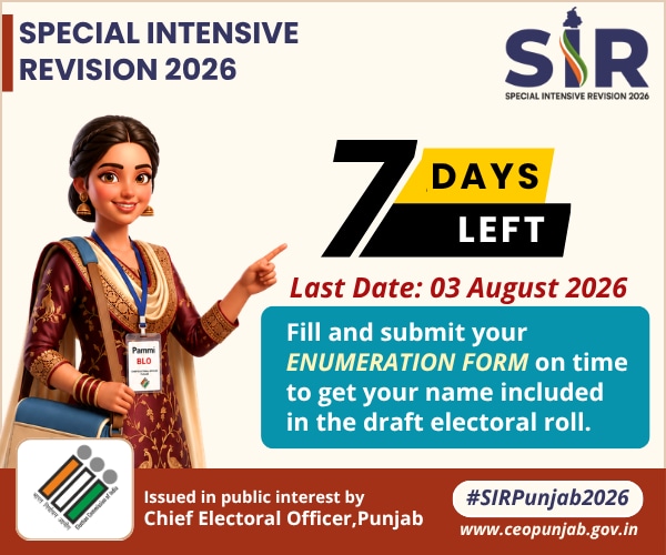 7 day election