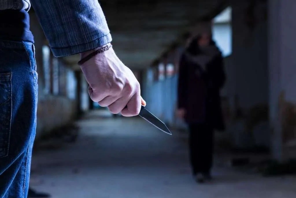 Youth Stabbed to Death in Chandigarh’s Dadwa Area, Attack Caught on Video