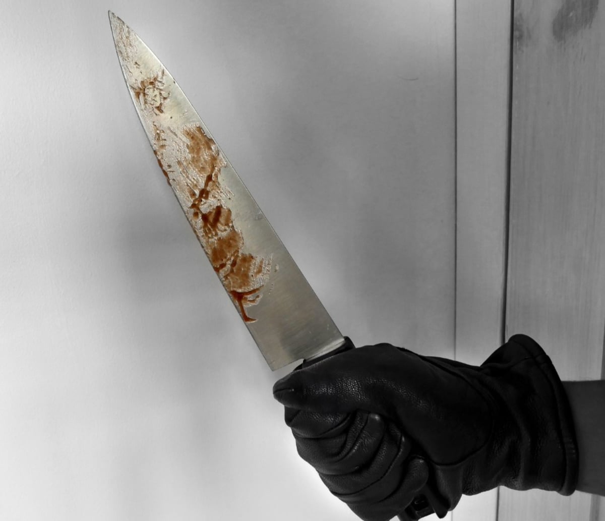Medical Student Found Murdered in Patiala PG, Friend Missing After Brutal Attack