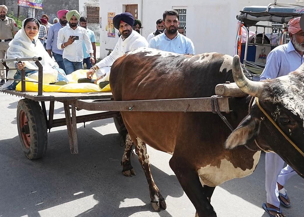 Raja Warring Arrives on Bullock Cart to Cast Vote, Protests Rising Fuel Prices