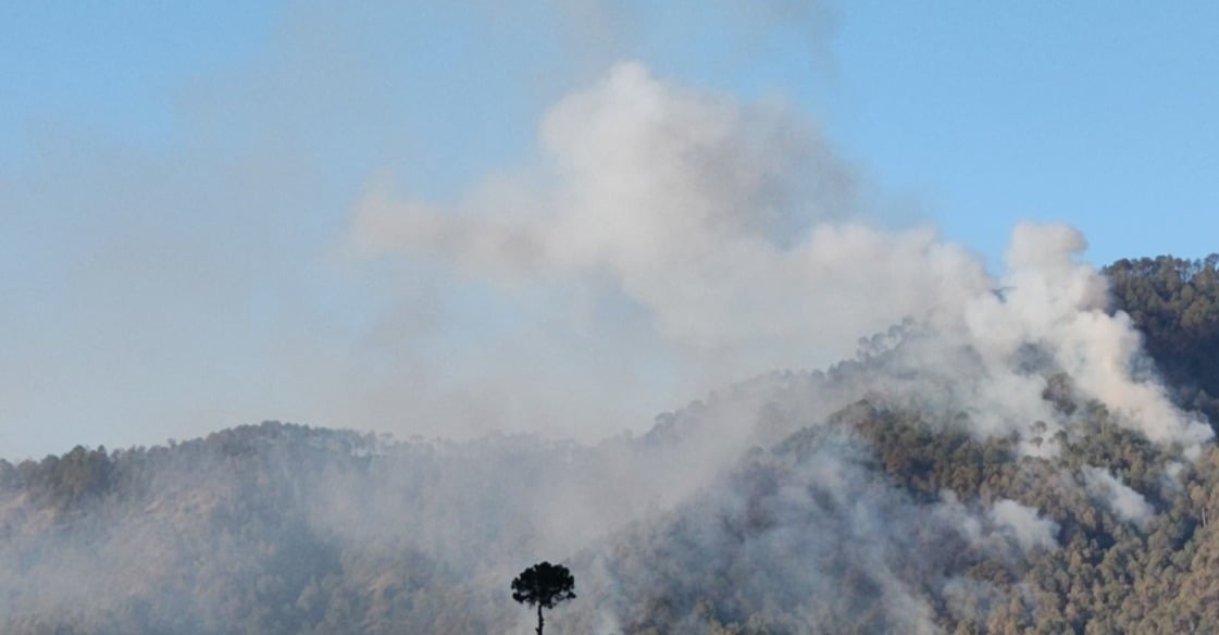 Massive Fire Erupts in Kasauli Forest Hills, Air Force Helicopter Deployed for Firefighting