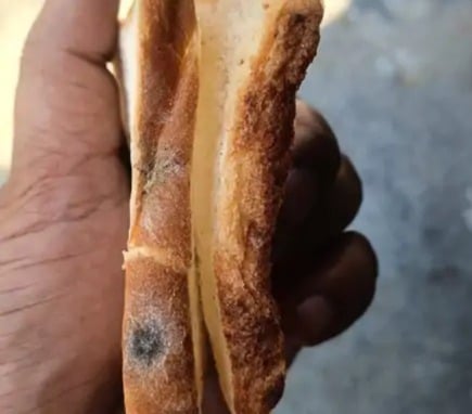 Moldy Bread Allegedly Served to Patients at Himachal Hospital, Contractor Suspended