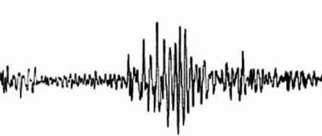 Strong Earthquake Hits Afghanistan; Tremors Rock Punjab, Delhi-NCR, Chandigarh and Jammu & Kashmir