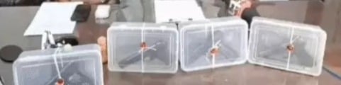 Amritsar Police Bust Cross-Border Drone Smuggling Racket, Arrest Four With Arms