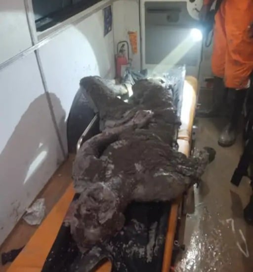 8 Dead, 19 Trapped After Landslide Seals Tunnel Entrance in Sikkim