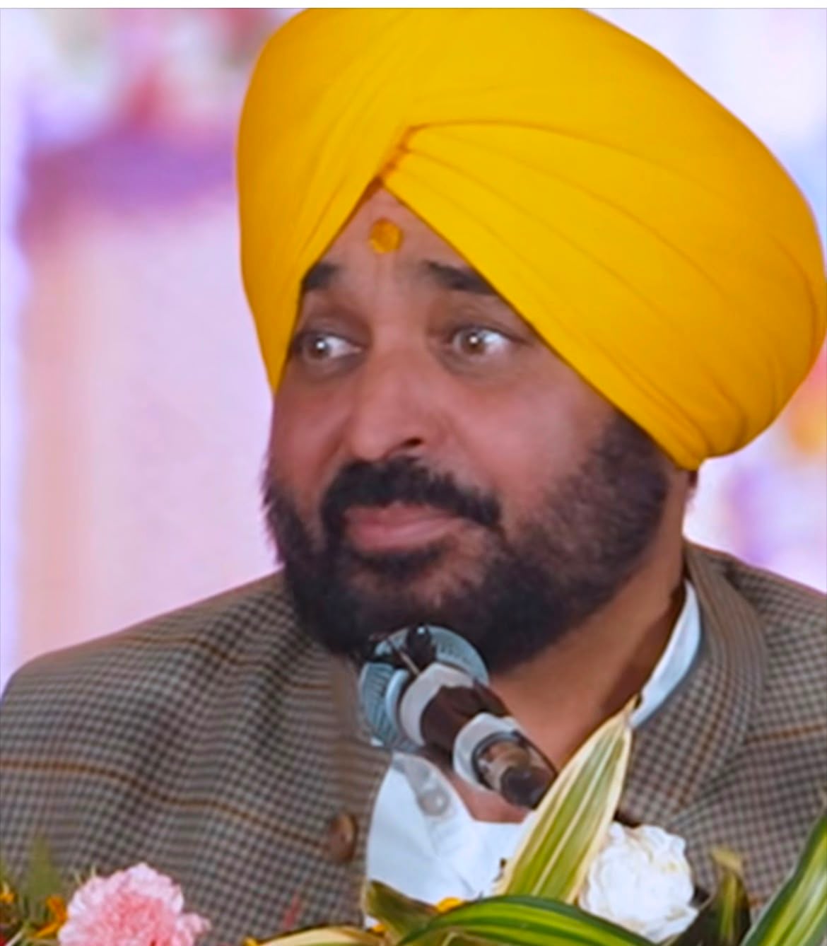 CM Mann to hoist national flag in Ferozepur; Punjab Govt unveils Independence Day roster