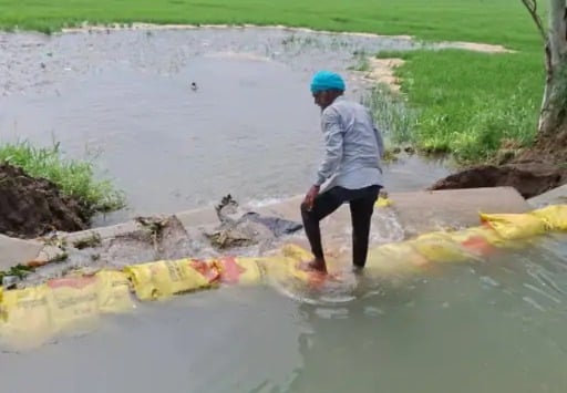 Patiala canal breach floods 100 acres of paddy fields, Farmers allege official negligence