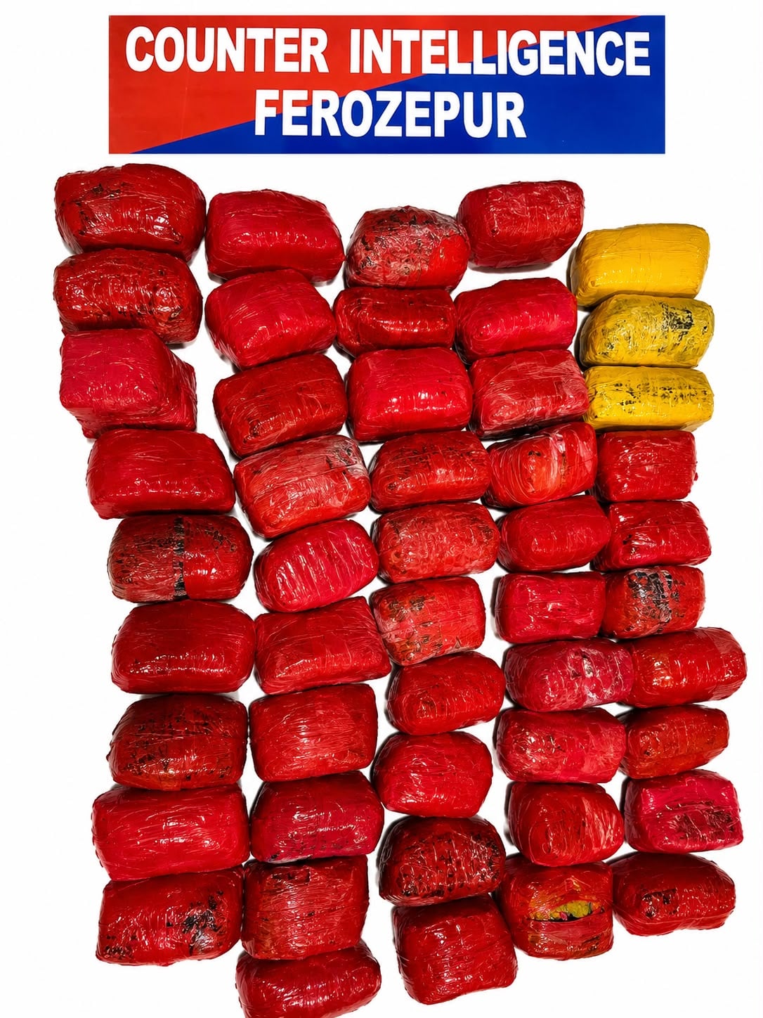 Punjab police, BSF seize 47.5 kg drugs in major border operation