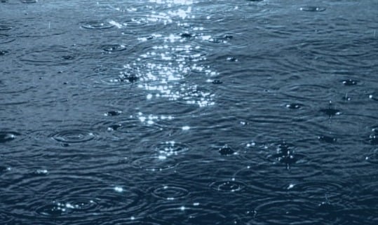 Punjab set for wet spell; IMD warns of heavy rain in multiple districts