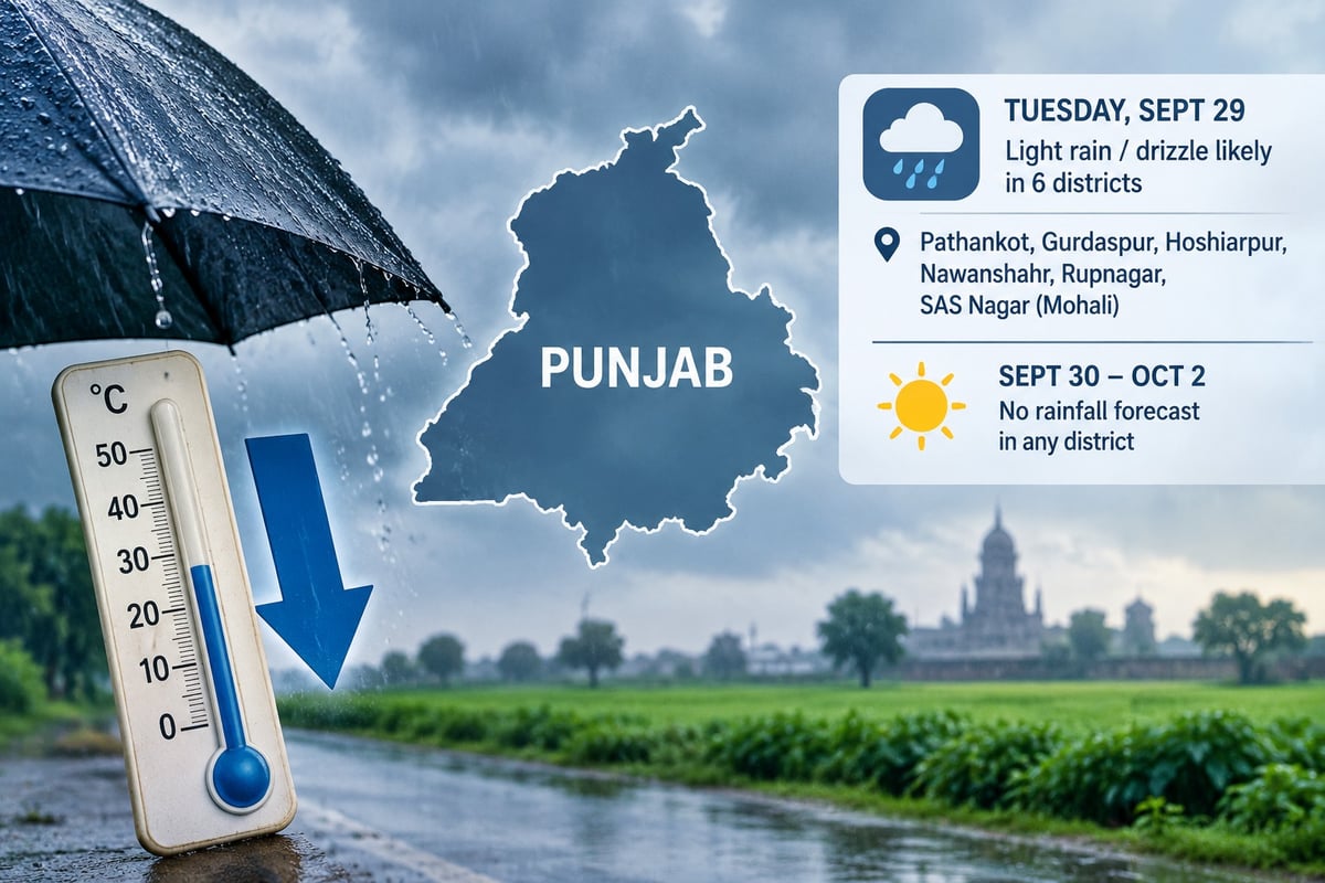 Rain brings down temperatures across Punjab; more showers likely in six districts