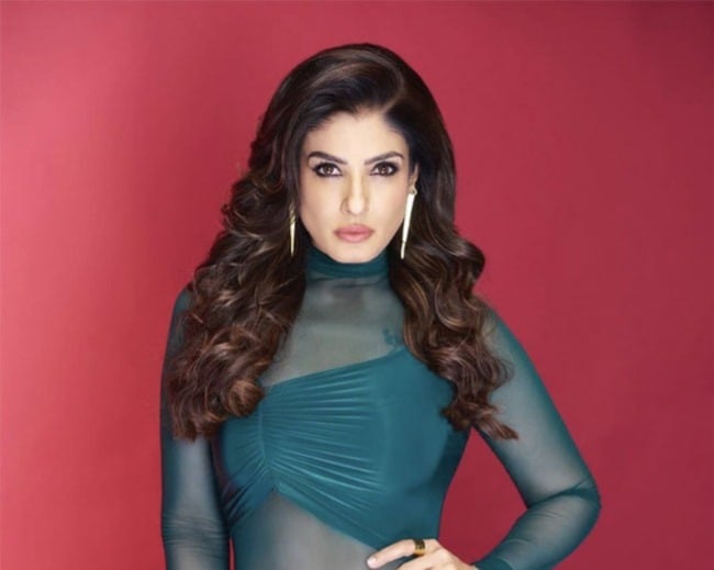 Raveena Tandon Birthday Special: A look at her memorable Bollywood journey, From ‘Tu Cheez Badi Hai Mast Mast’ to OTT